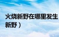 火烧新野在哪里发生（2024年10月09日火烧新野）