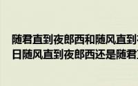 随君直到夜郎西和随风直到夜郎西哪个对（2024年10月09日随风直到夜郎西还是随君直到夜郎西）